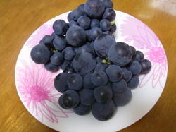 長野の葡萄。
